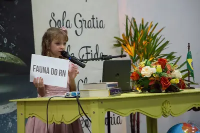 CFS 4º B, 2017