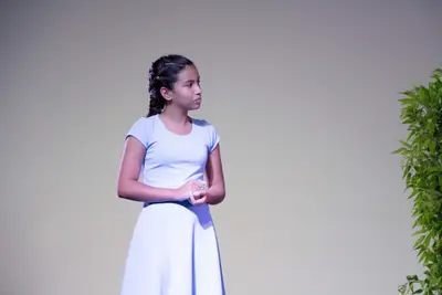 Pinóquio, 2017