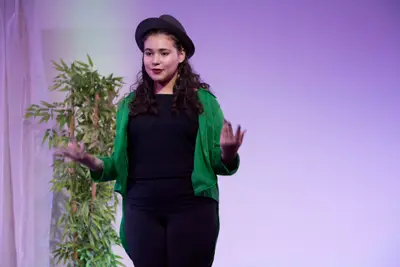 Pinóquio, 2017