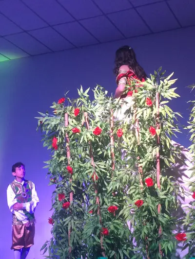 Romeu e Julieta, 2017