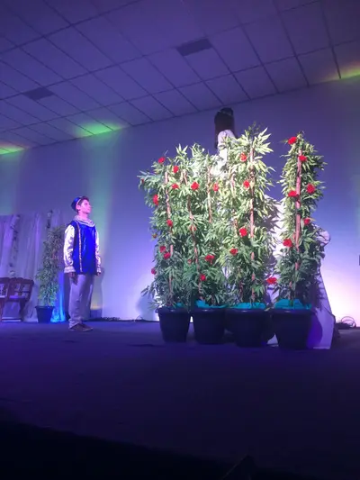 Romeu e Julieta, 2017