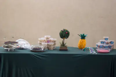 Uma Casa na Floresta - 4º ano, 2018