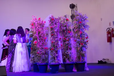 Romeu e Julieta, 2018