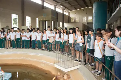 Aula de campo - Caern, 2019