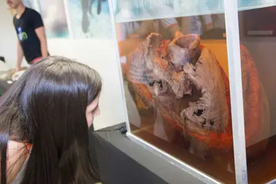 Aula de campo - Museu de Morfologia UFRN, 2019