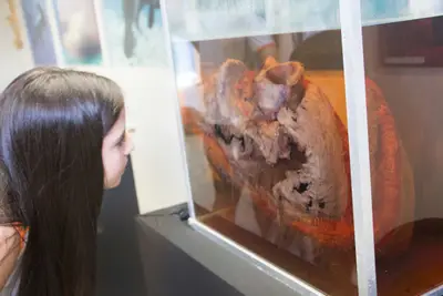 Aula de campo - Museu de Morfologia UFRN, 2019
