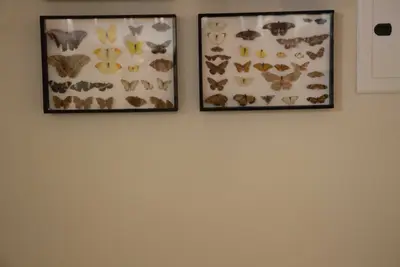 Aula de campo - Museu de Morfologia UFRN, 2019