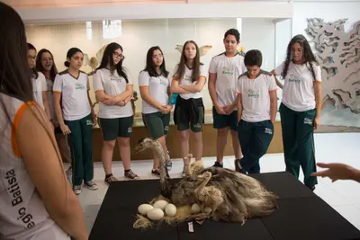 Aula de campo - Museu de Morfologia UFRN, 2019