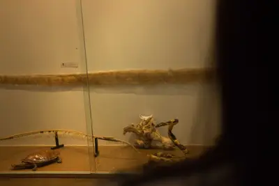 Aula de campo - Museu de Morfologia UFRN, 2019