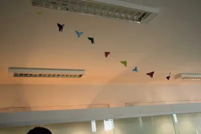 Aula de campo - Museu de Morfologia UFRN, 2019
