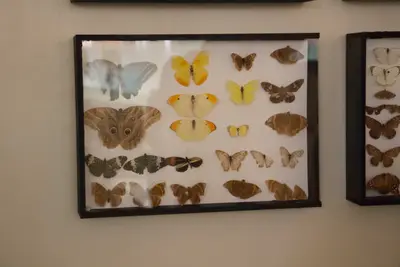 Aula de campo - Museu de Morfologia UFRN, 2019