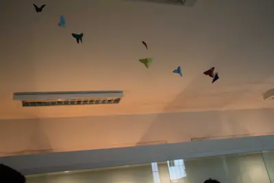 Aula de campo - Museu de Morfologia UFRN, 2019