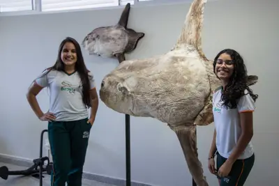 Aula de campo - Pipa, 2019