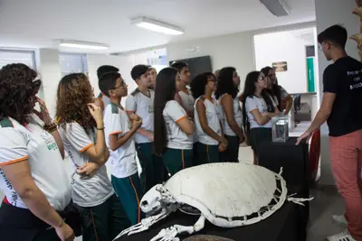 Aula de campo - Pipa, 2019