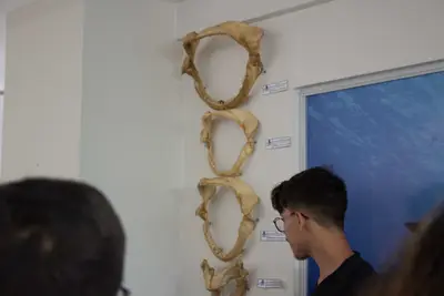 Aula de campo - Pipa, 2019