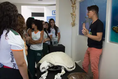 Aula de campo - Pipa, 2019