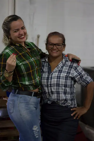 Festa da Colheita, 2019