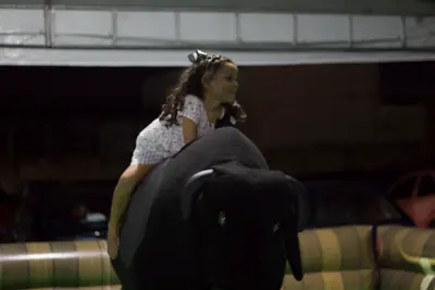 Festa da Colheita, 2019