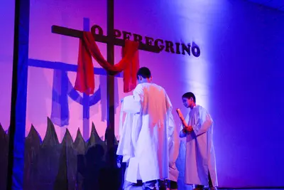 O Peregrino, 2019