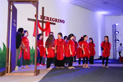 O Peregrino, 2019