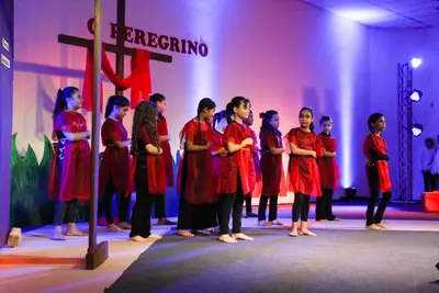 O Peregrino, 2019