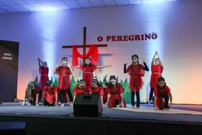 O Peregrino, 2019