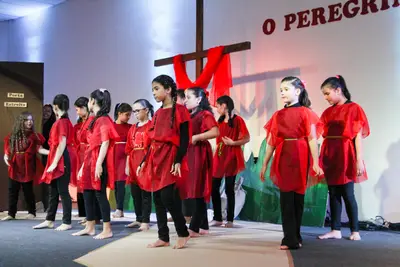 O Peregrino, 2019