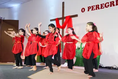 O Peregrino, 2019