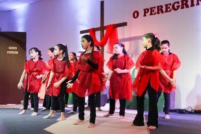 O Peregrino, 2019