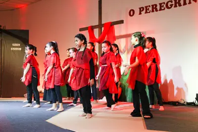 O Peregrino, 2019
