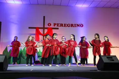 O Peregrino, 2019
