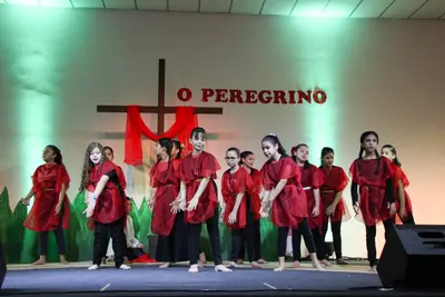 O Peregrino, 2019
